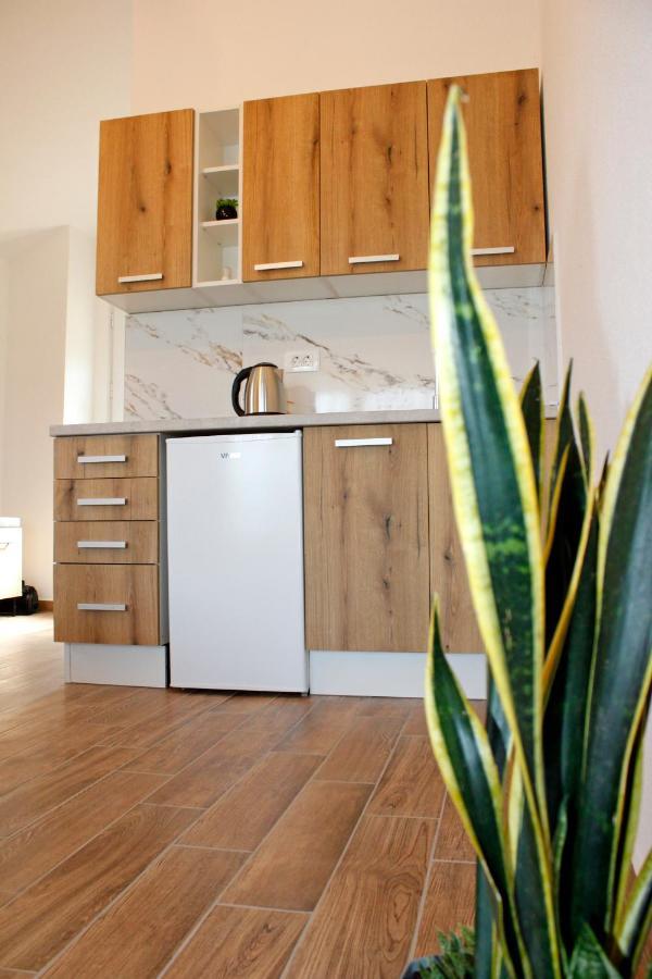 Sunny Side Apartments Rijeka Crnojevića エクステリア 写真
