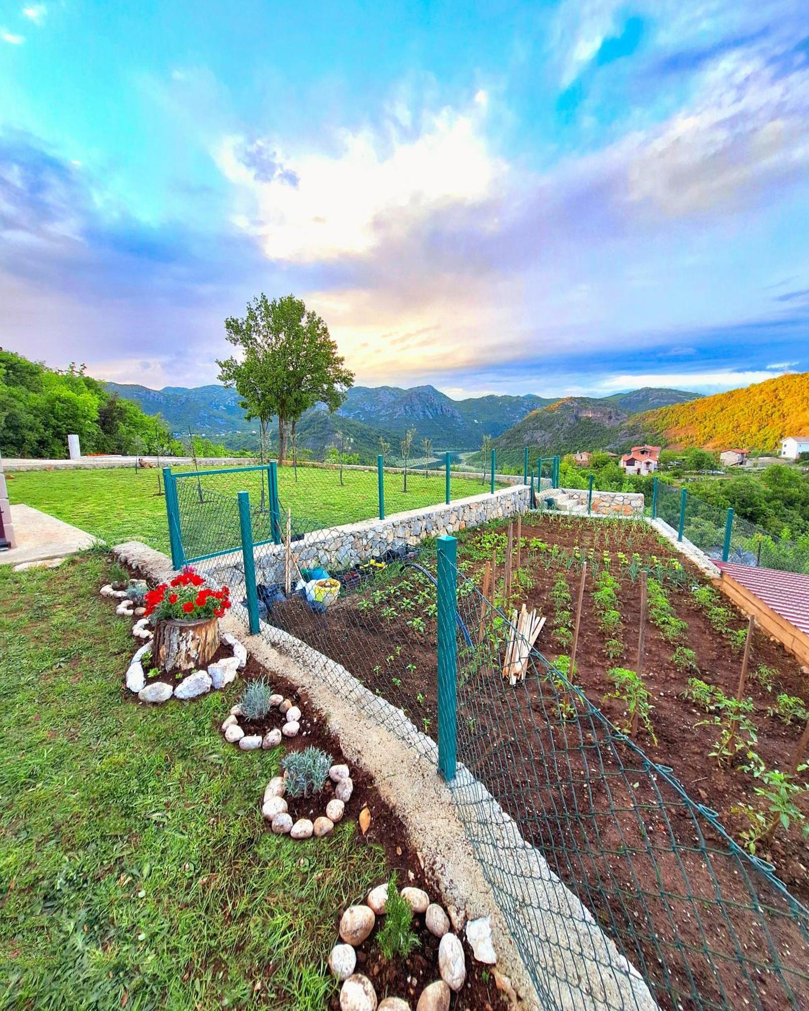 Sunny Side Apartments Rijeka Crnojevića エクステリア 写真